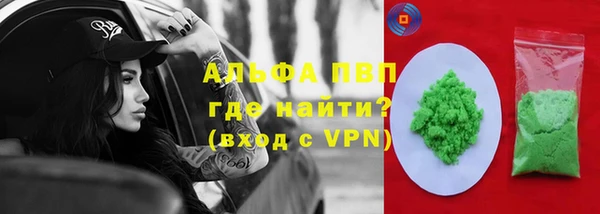 гашик Арсеньев