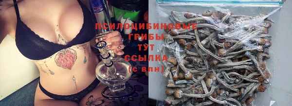 гашик Арсеньев