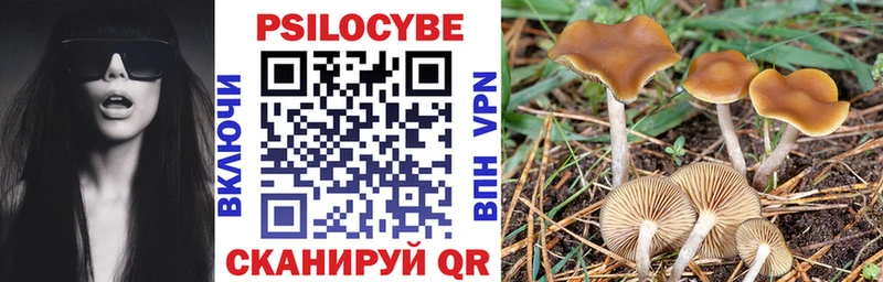 Псилоцибиновые грибы Psilocybe hydra сайт Суворов